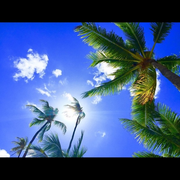 Meet your Posher, Rhonda - Picture 1 of 1